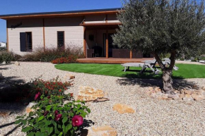 Cosy chalet with shared pools in Pomérols